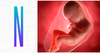 Forget politics: What does the Bible teach on the issue of abortion?