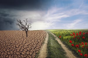 Climate change graphic from Pixabay